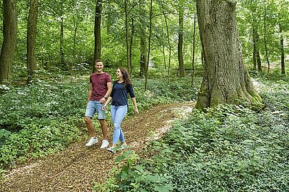 Zwei Wanderer auf einem kleinen Pfad im Wald. Im Hintergrund dichter Laubwald