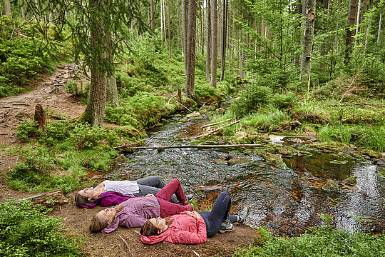 Drei Frauen liegen direkt am Bach auf dem Waldboden und entspannen und lassen die Natur auf sich wirken. 