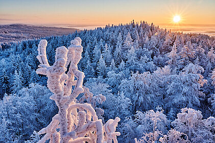 Auf dem Foto ist eine Winterstimmung am Großen Waldstein zu sehen.