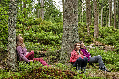 Drei Frauen entspannen mit geschlossenen Augen an Bäume gelehnt