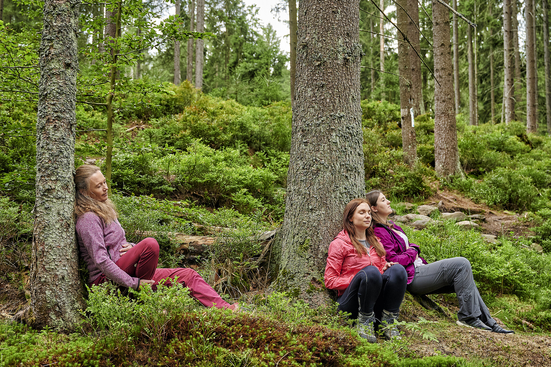 Drei Frauen entspannen mit geschlossenen Augen an Bäume gelehnt