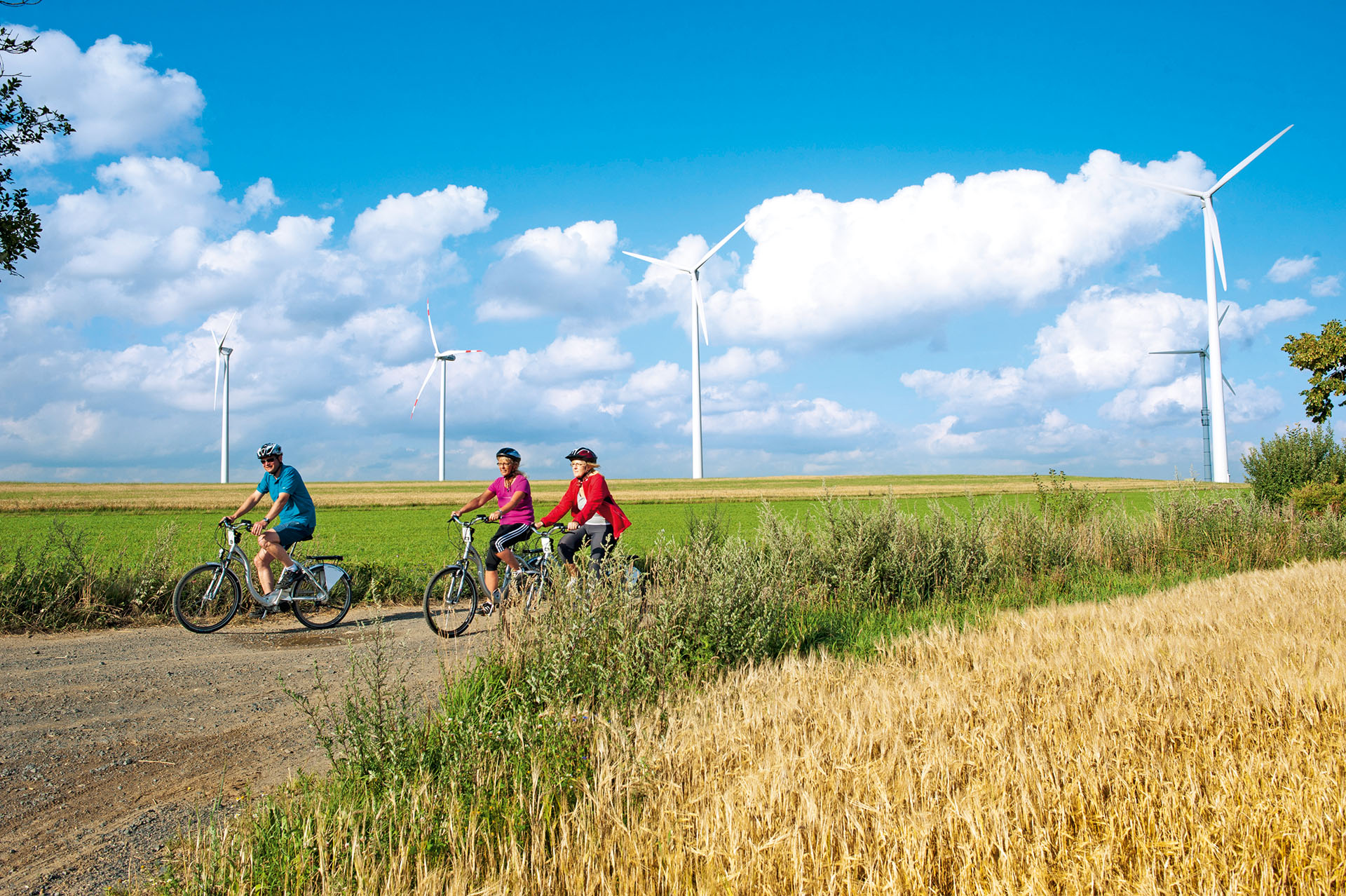 3 Radfahrer auf Radweg, im Vordergrund ein Kornfeld, im Hintergrund blauer Himmel und drei Windräder